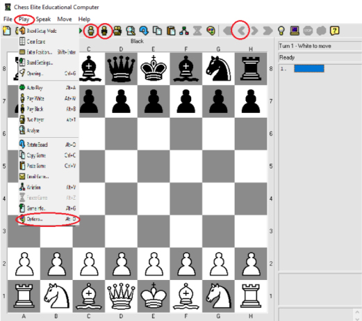 screenshot from cees made during chess game
