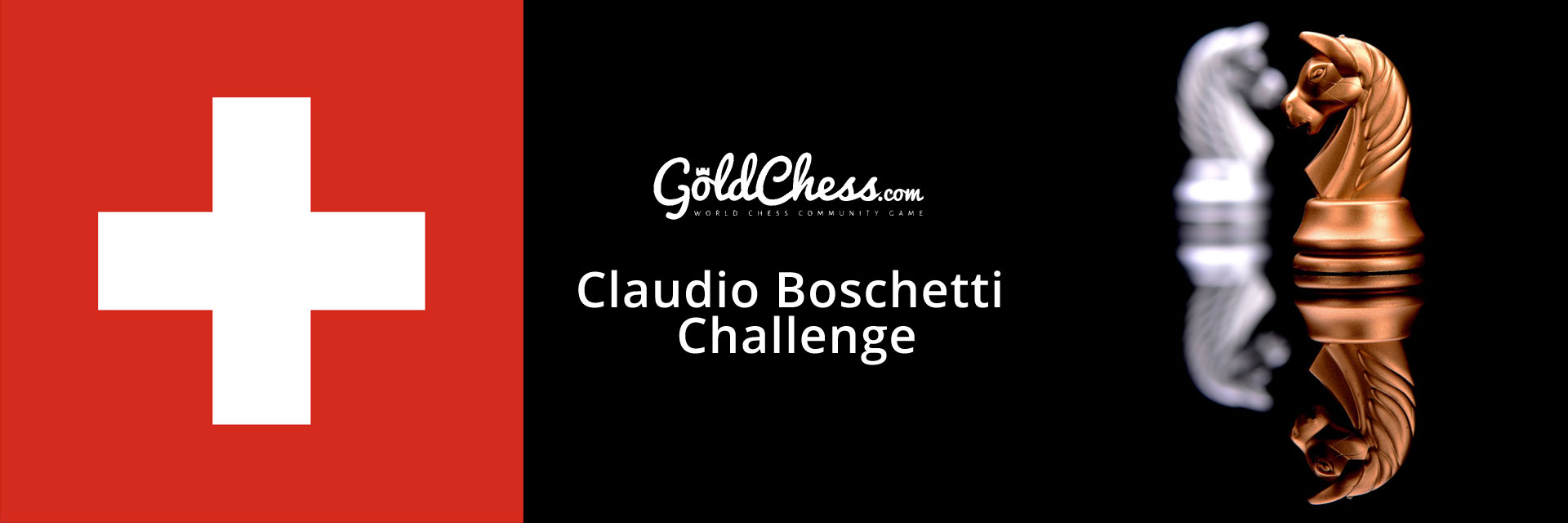Boschetti Challenge banner